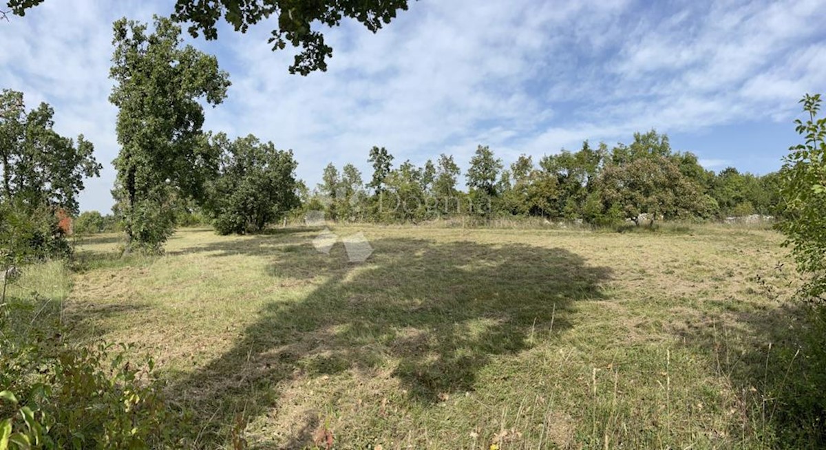 Terreno Šajini, Barban, 953m2