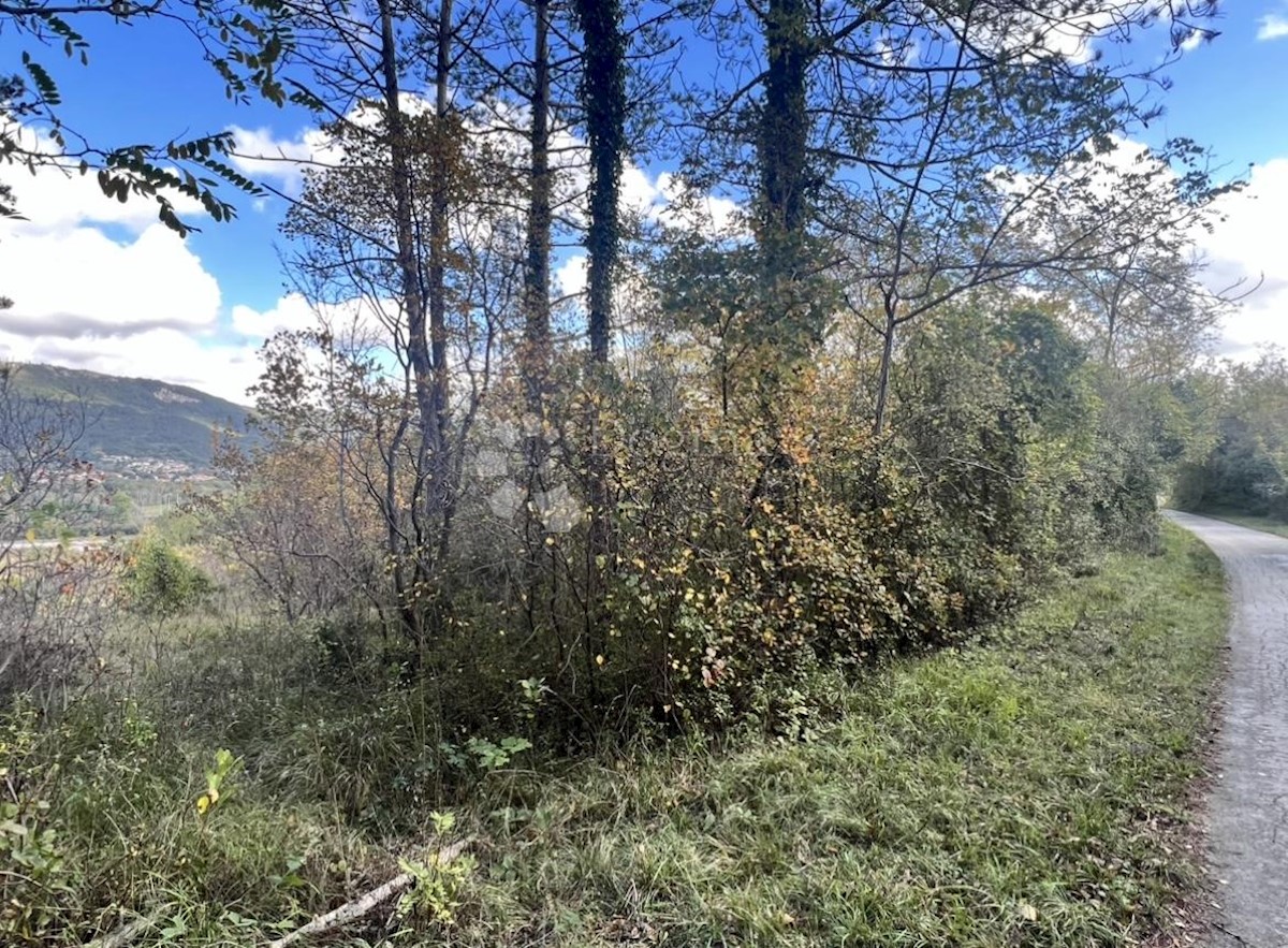 Terreno Buzet, 16.943m2