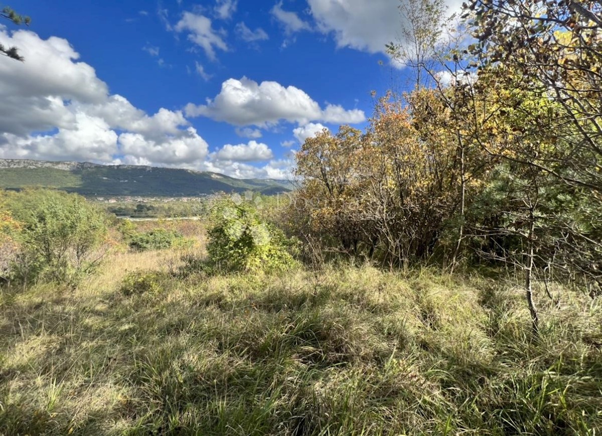 Terreno Buzet, 16.943m2