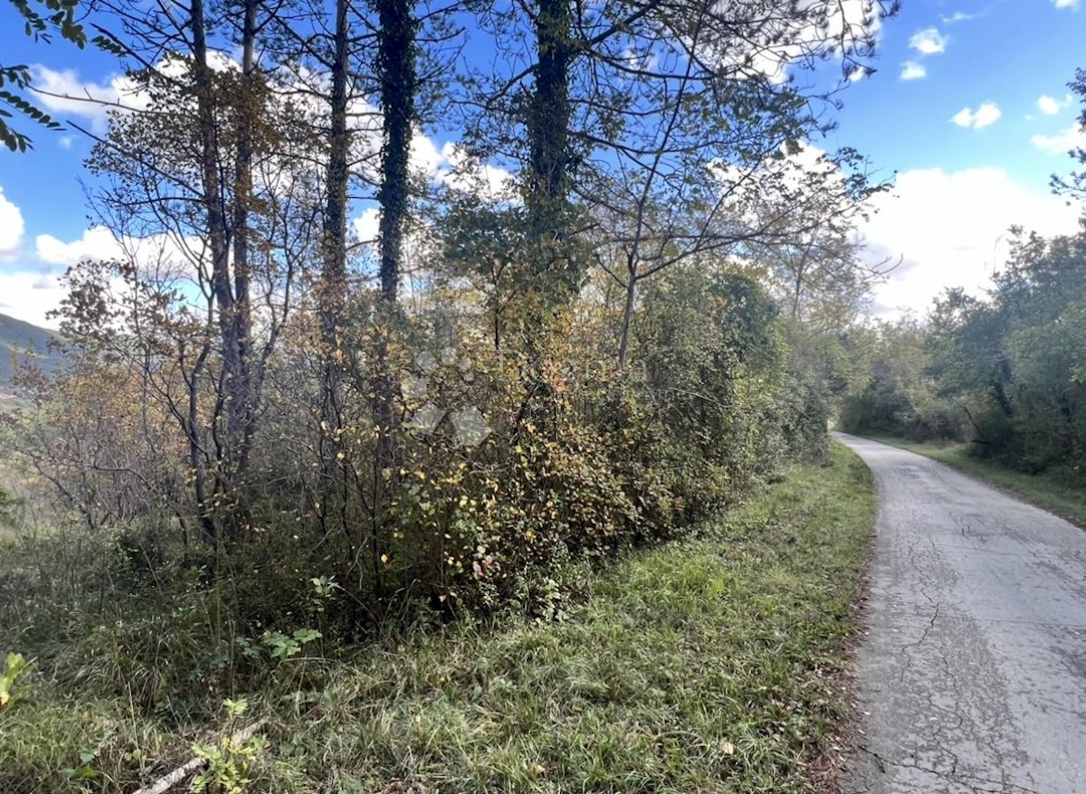 Terreno Buzet, 16.943m2