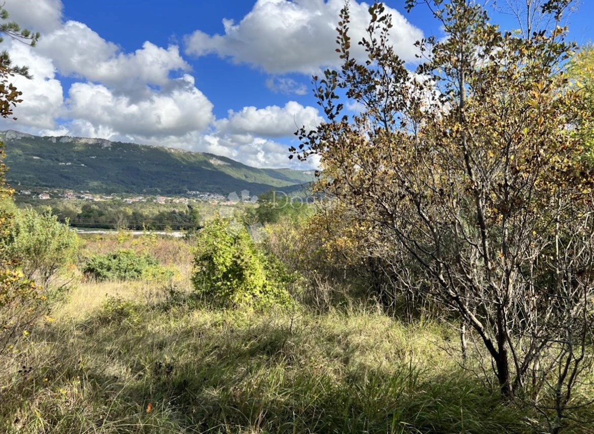 Terreno Buzet, 16.943m2