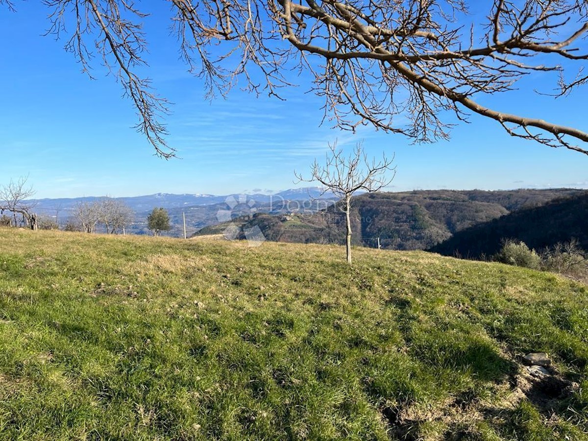 Terreno Zamask, Pazin - Okolica, 2.517m2