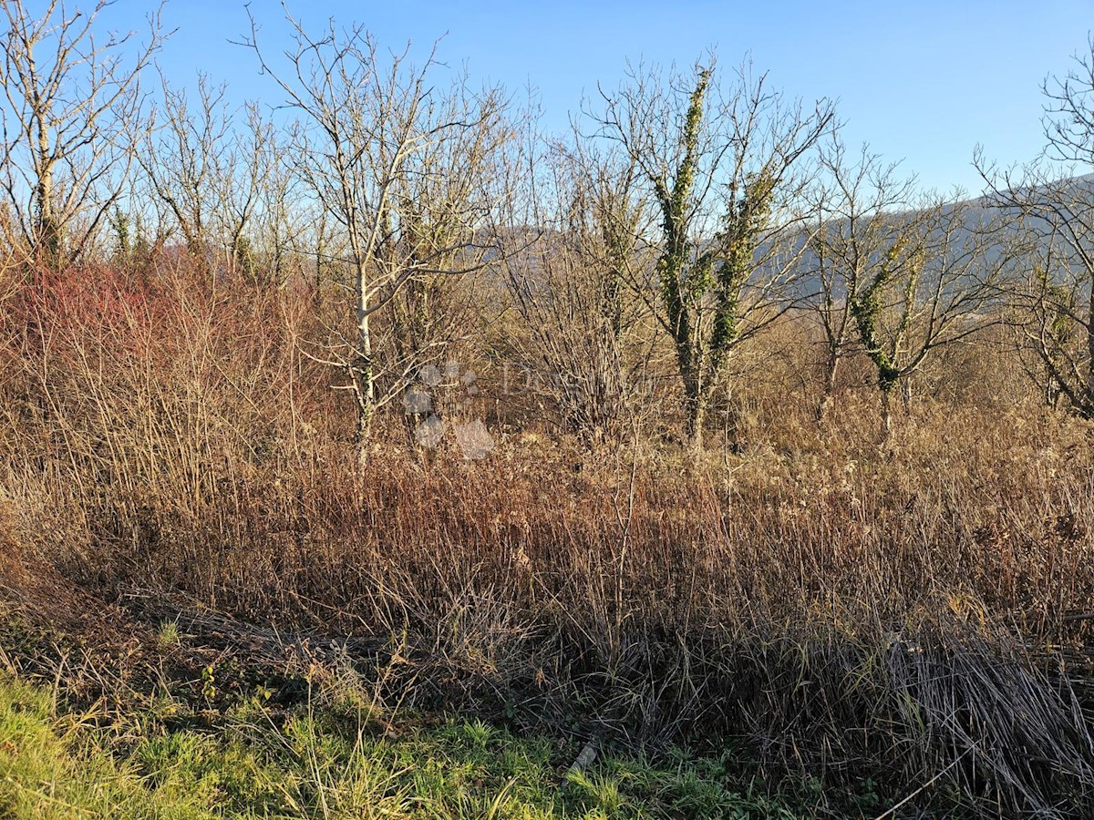 Terreno Boričevec Toplički, Varaždinske Toplice, 17.221m2