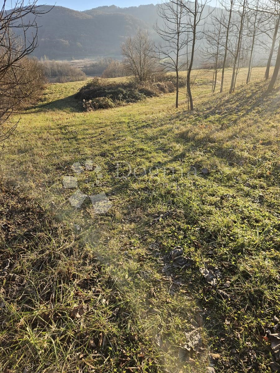 Terreno Boričevec Toplički, Varaždinske Toplice, 17.221m2