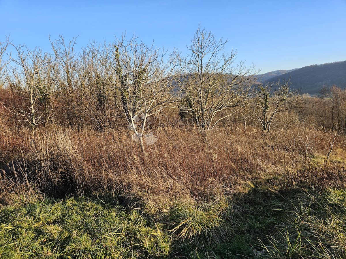 Terreno Boričevec Toplički, Varaždinske Toplice, 17.221m2