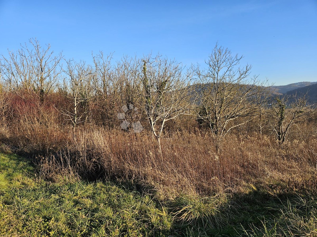 Terreno Boričevec Toplički, Varaždinske Toplice, 17.221m2