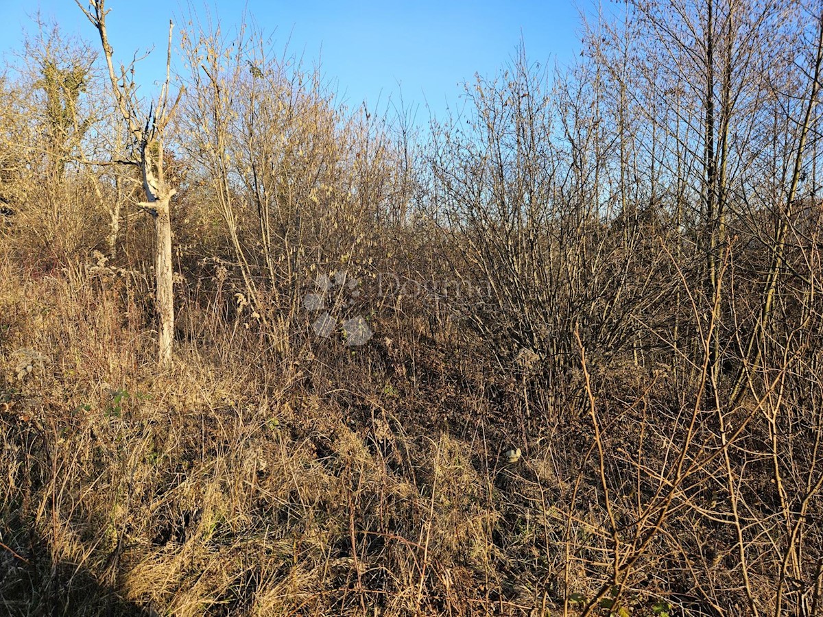 Terreno Boričevec Toplički, Varaždinske Toplice, 17.221m2