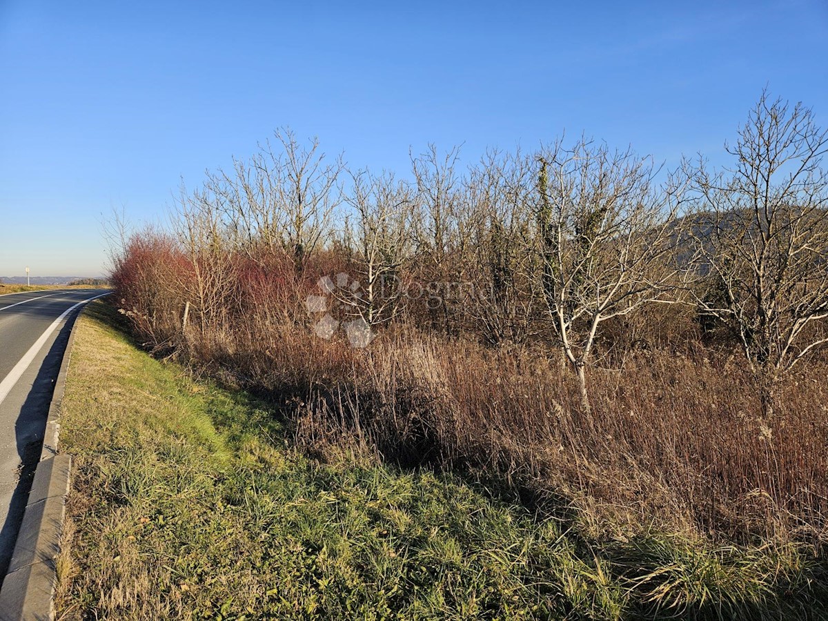 Terreno Boričevec Toplički, Varaždinske Toplice, 17.221m2