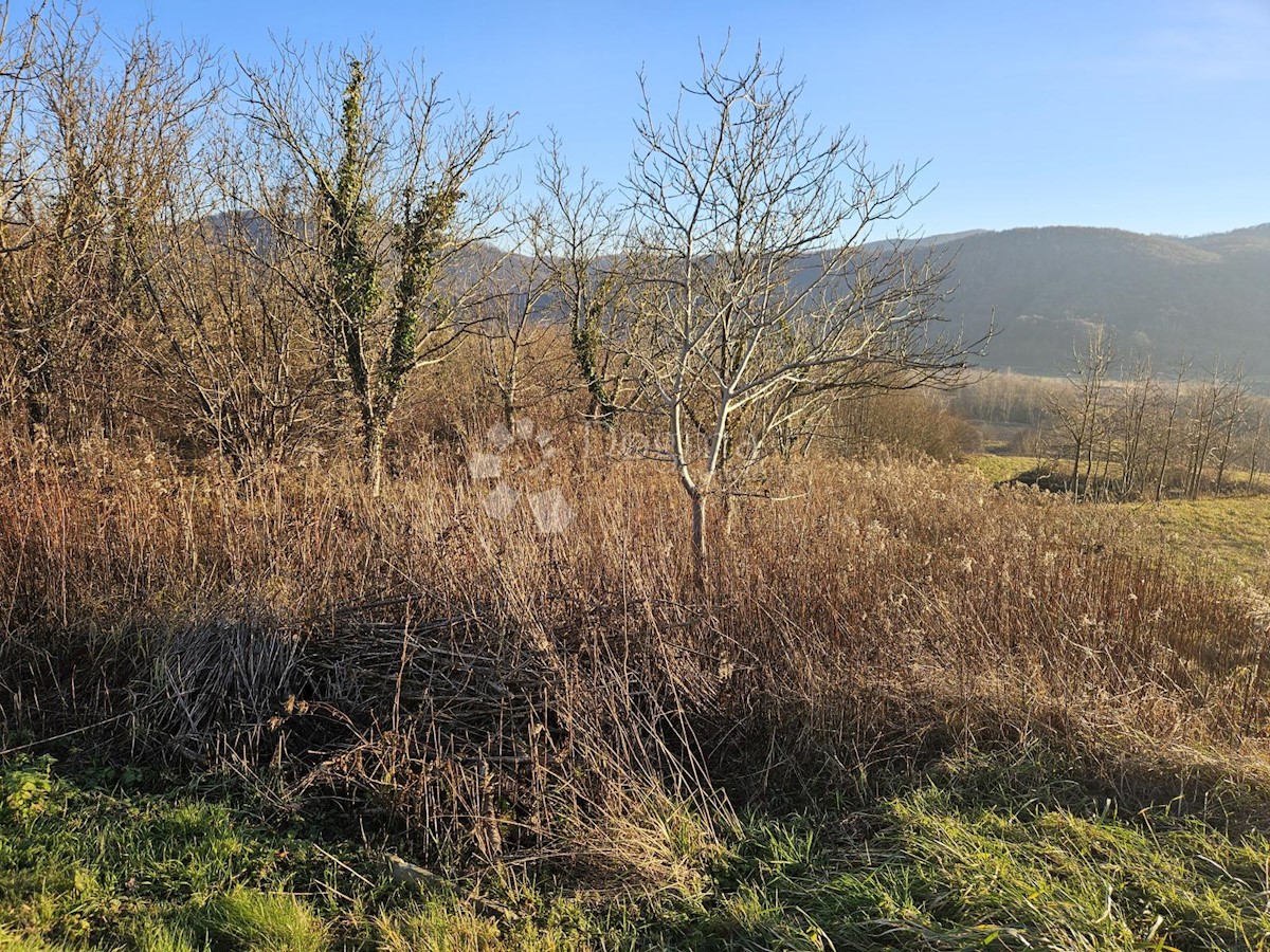 Terreno Boričevec Toplički, Varaždinske Toplice, 17.221m2