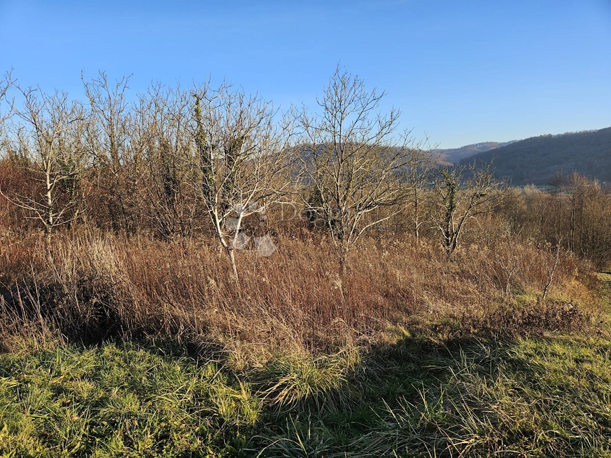 Terreno Boričevec Toplički, Varaždinske Toplice, 17.221m2