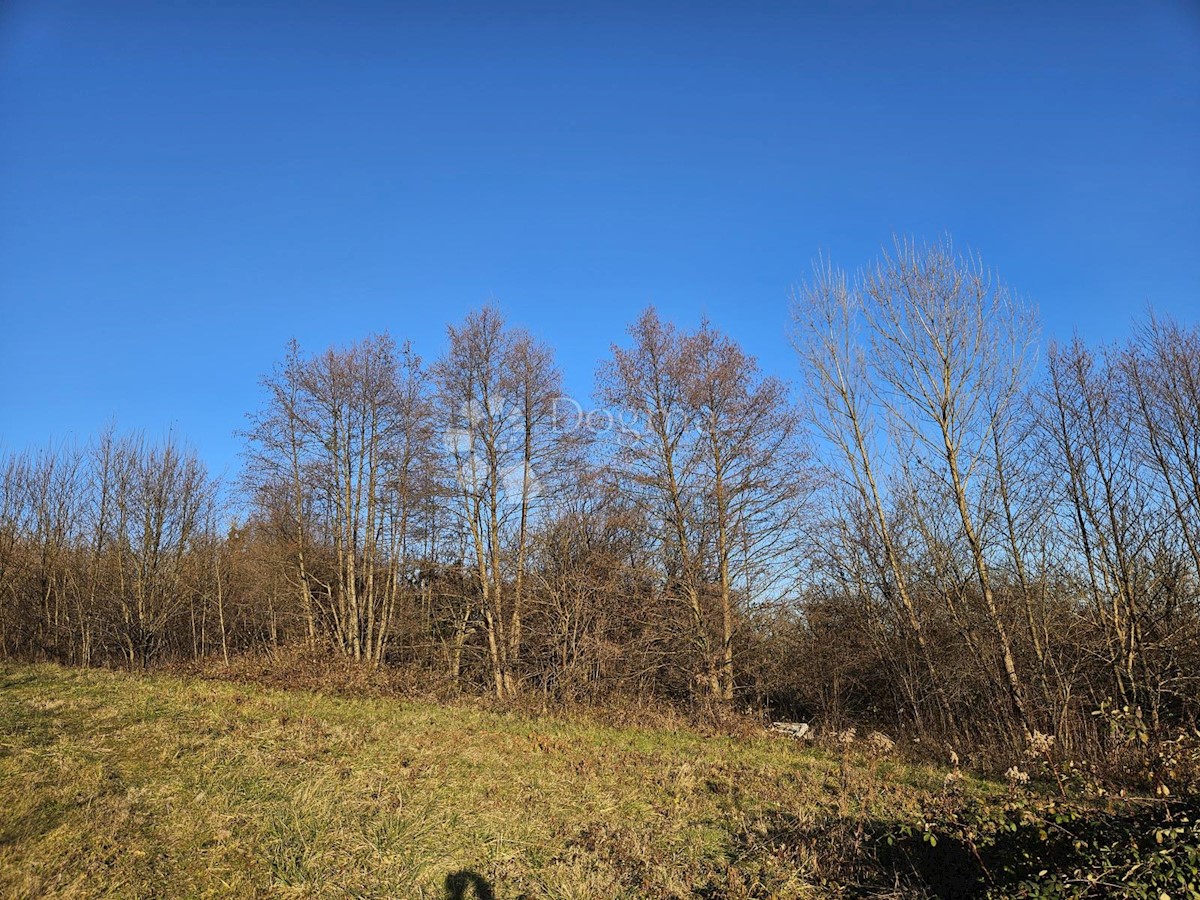 Terreno Boričevec Toplički, Varaždinske Toplice, 17.221m2