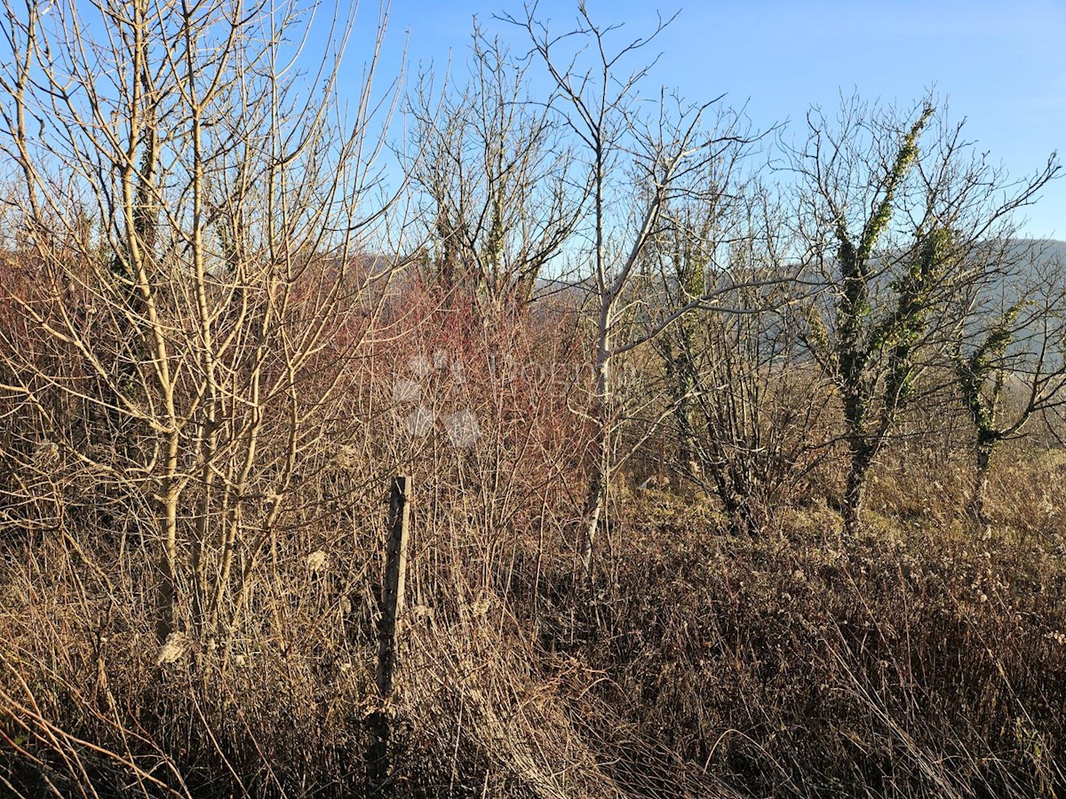 Terreno Boričevec Toplički, Varaždinske Toplice, 17.221m2