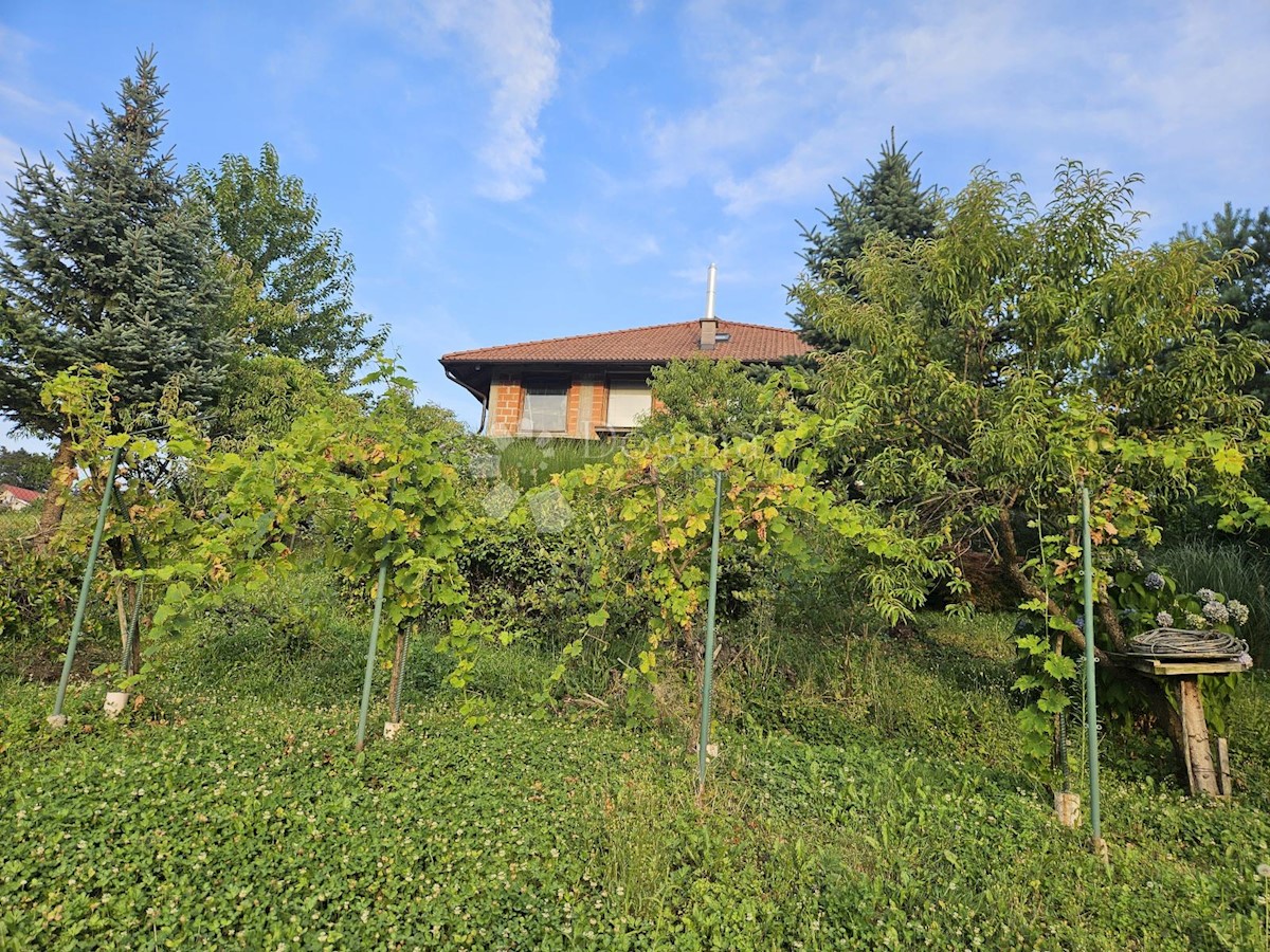 Casa Varaždin Breg, Gornji Kneginec, 300m2