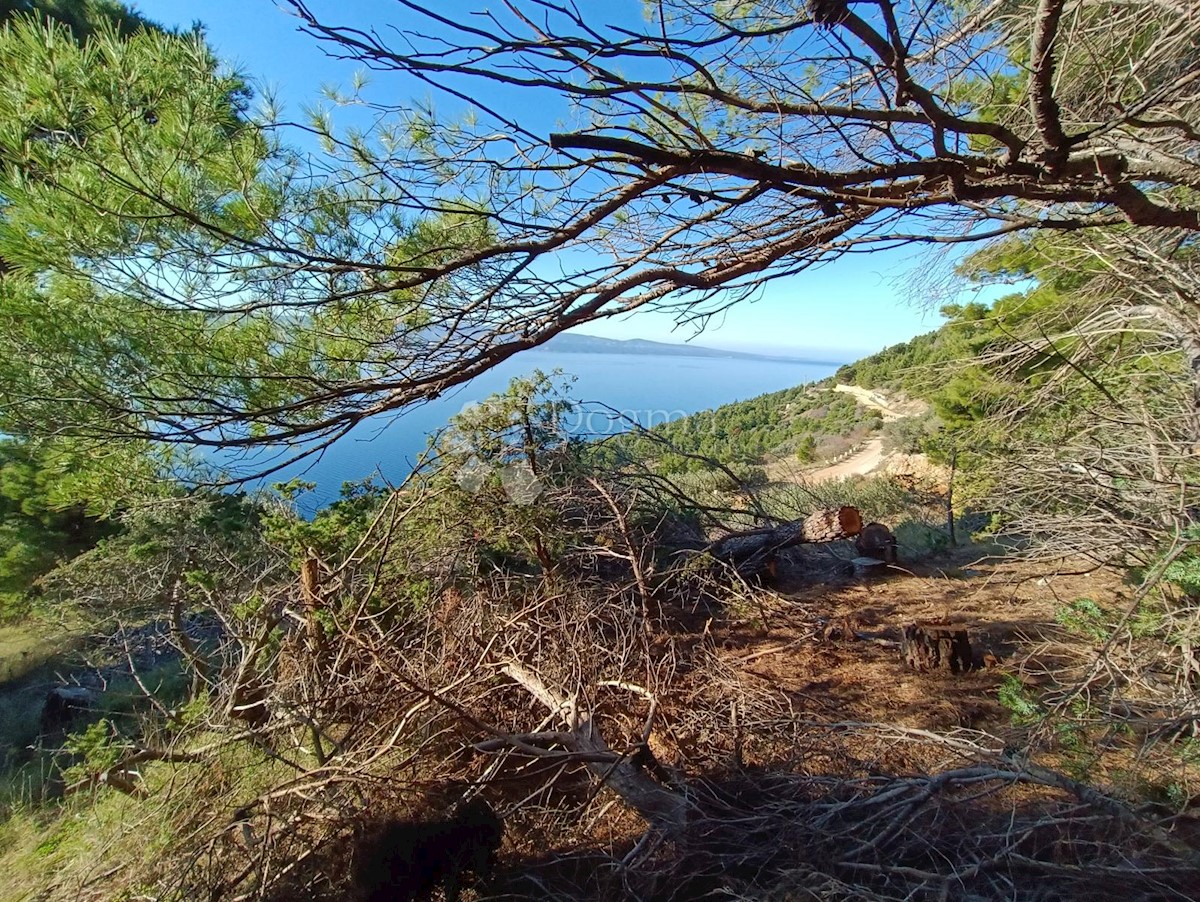 Terreno Marušići, Omiš, 3.974m2