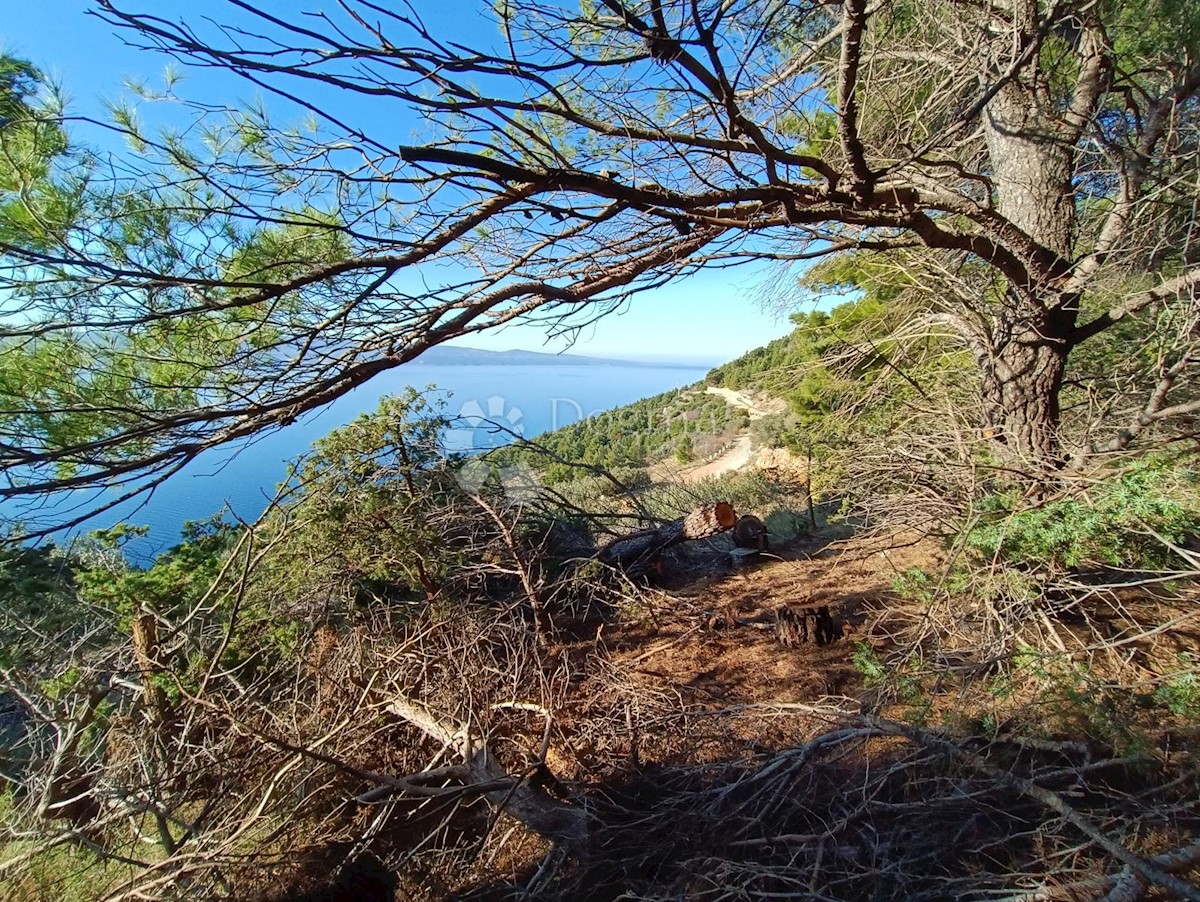 Terreno Marušići, Omiš, 3.974m2