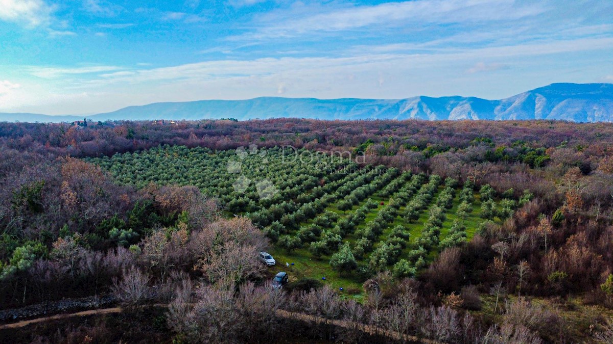 Terreno Milohnići, Krk, 24.399m2