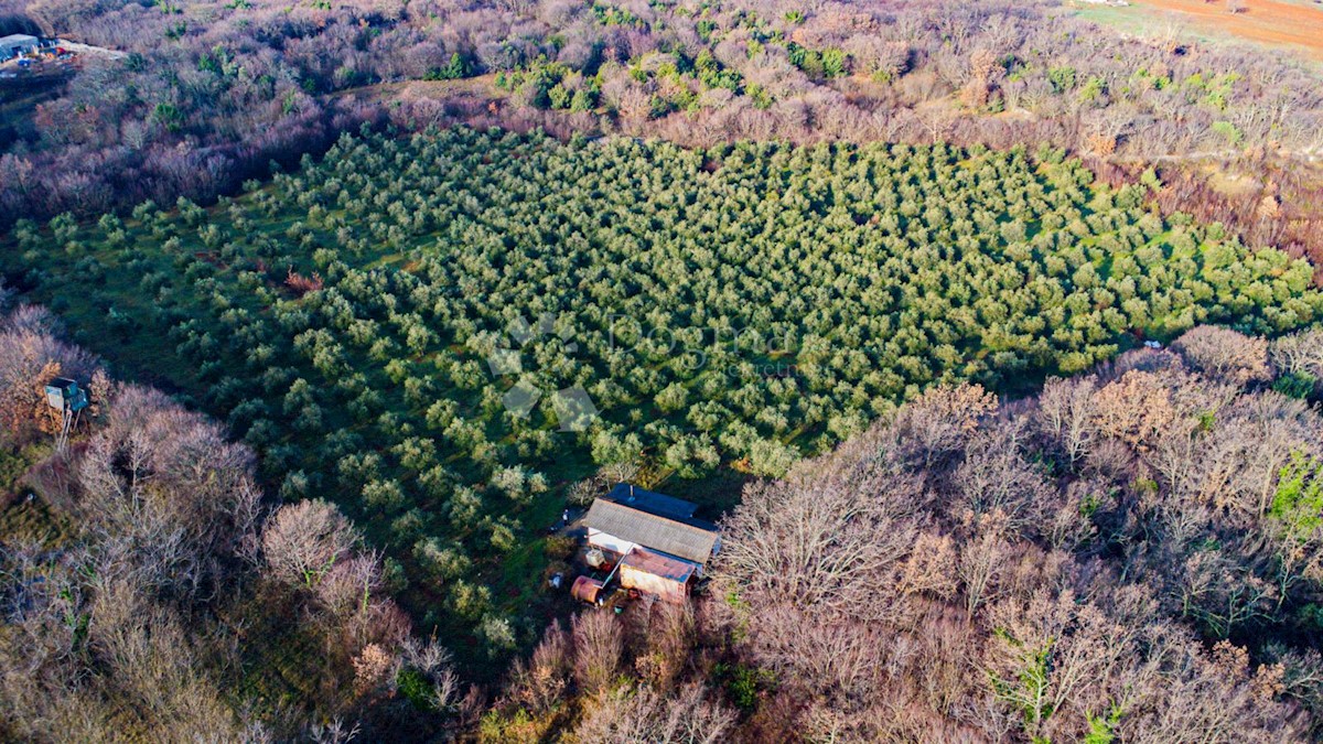 Terreno Milohnići, Krk, 24.399m2