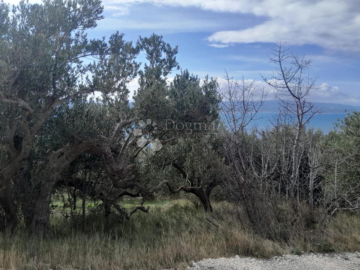 Terreno Gornja Brela, Brela, 450m2