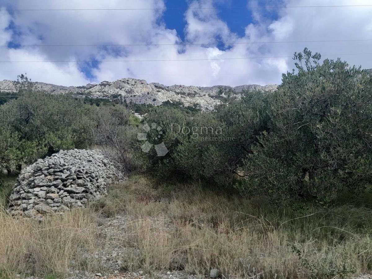 Terreno Gornja Brela, Brela, 450m2