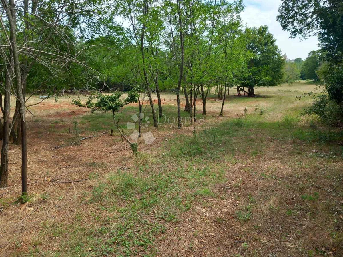 Terreno Baderna, Poreč, 1.503m2