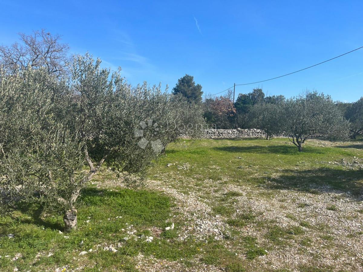 Terreno Sevid, Marina, 2.000m2