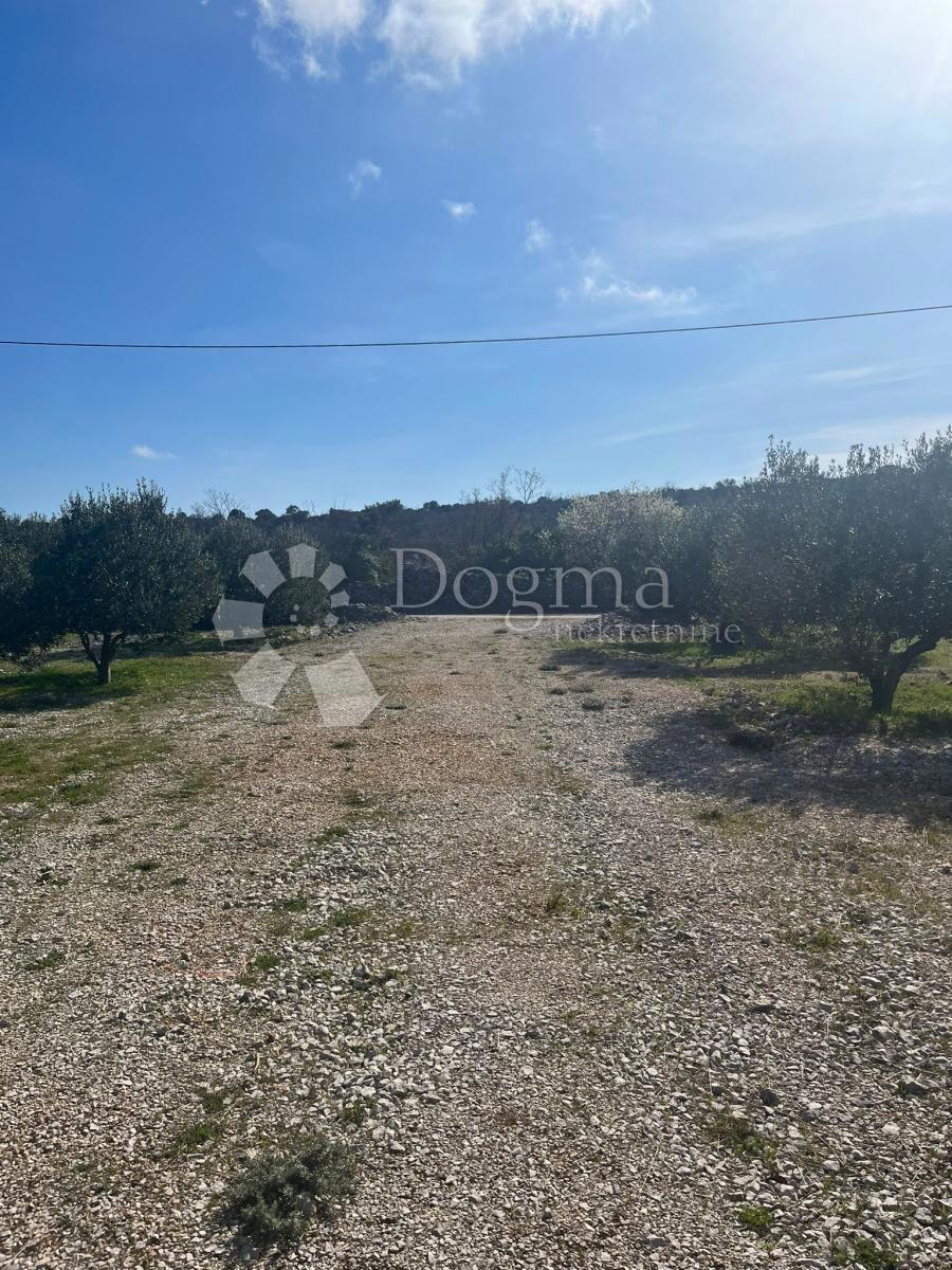 Terreno Sevid, Marina, 2.000m2