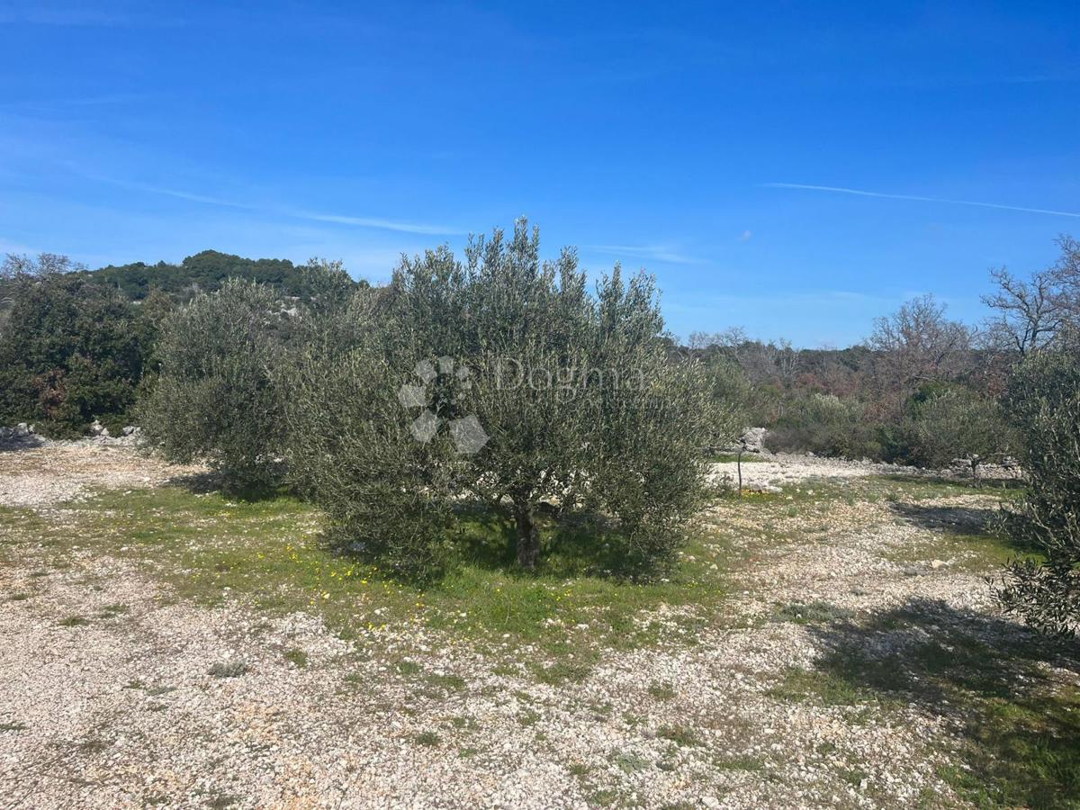 Terreno Sevid, Marina, 2.000m2