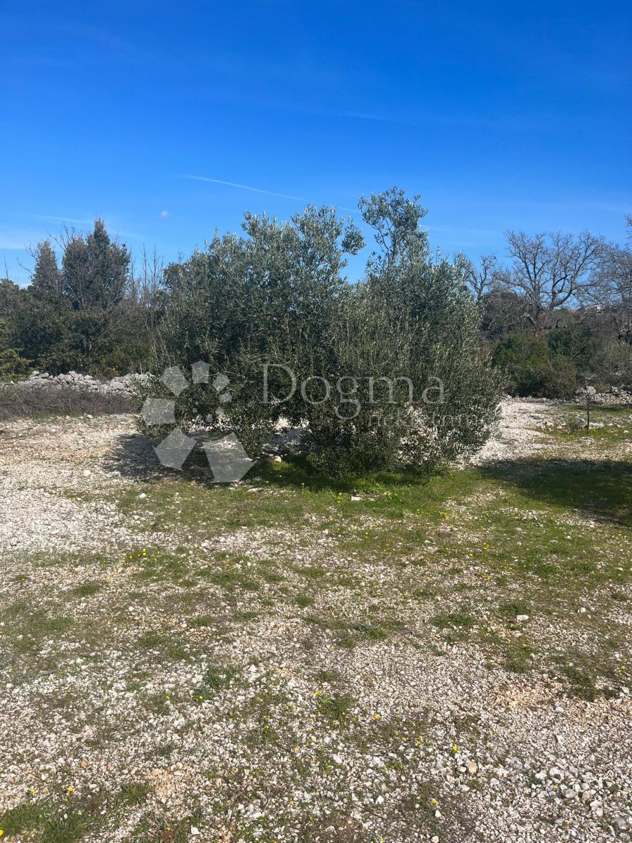 Terreno Sevid, Marina, 2.000m2