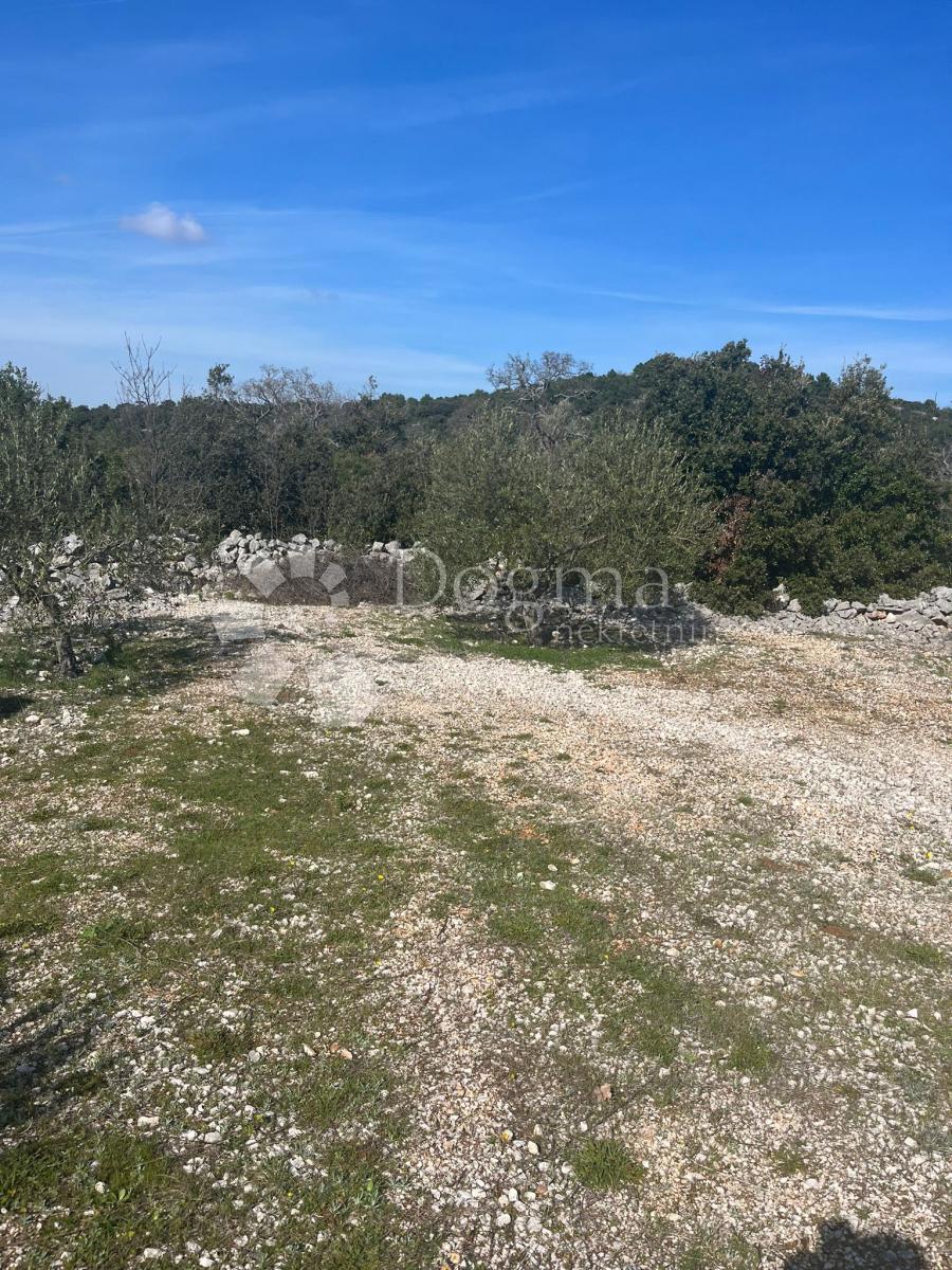 Terreno Sevid, Marina, 2.000m2
