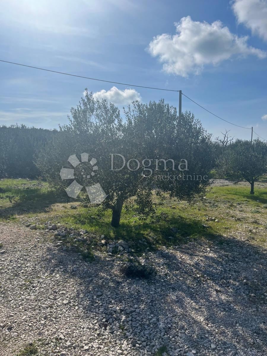 Terreno Sevid, Marina, 2.000m2