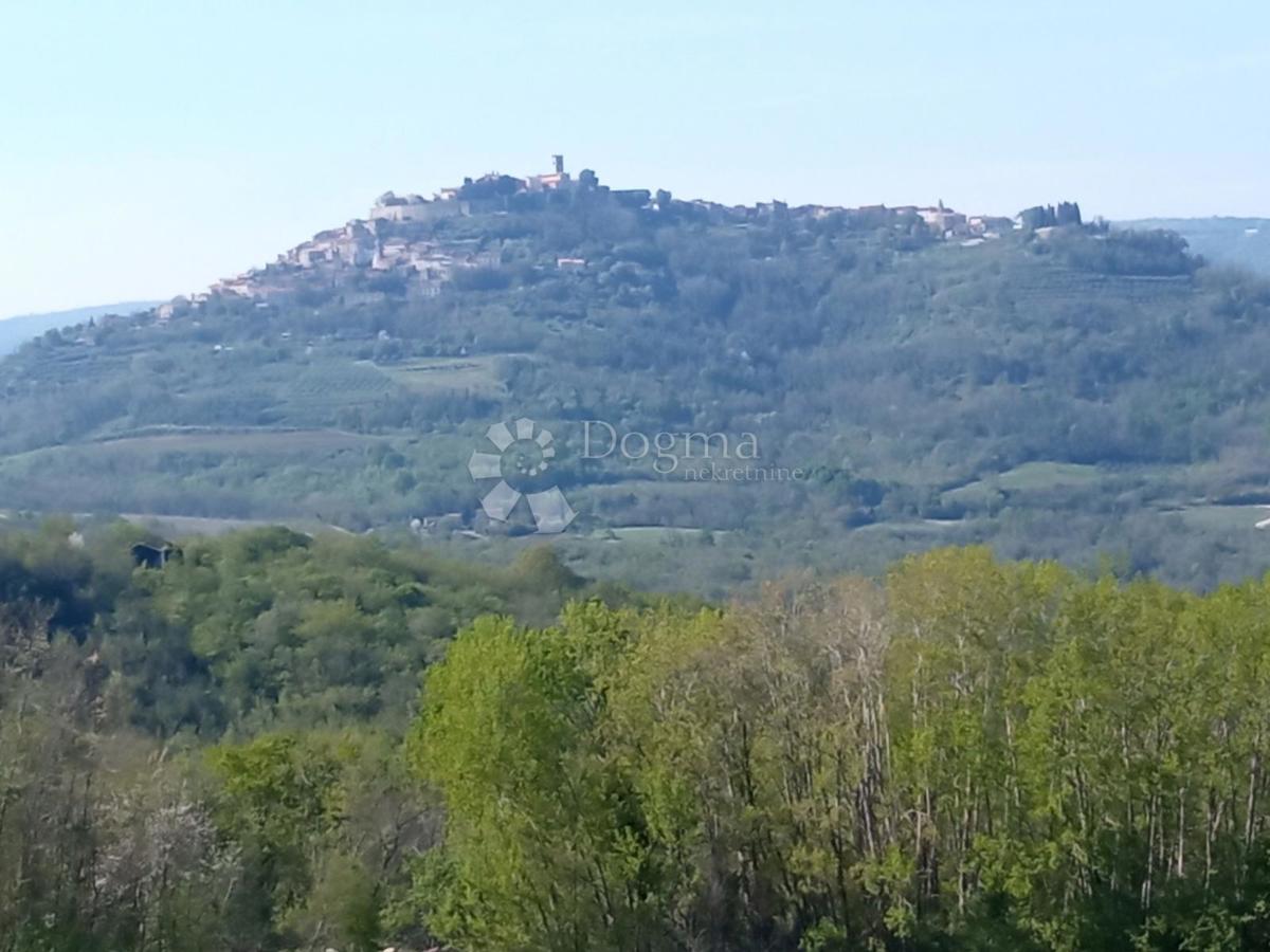 Terreno Kaldir, Motovun, 3.597m2