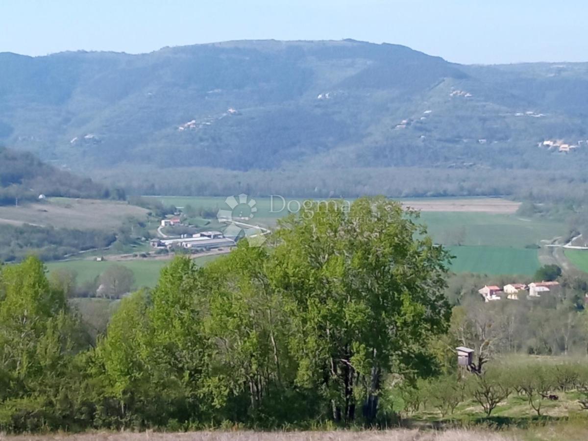 Terreno Kaldir, Motovun, 3.597m2