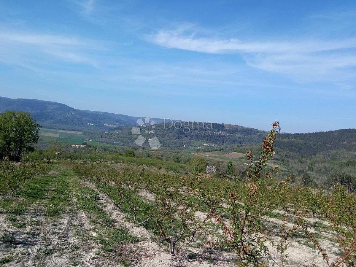 Terreno Kaldir, Motovun, 3.597m2