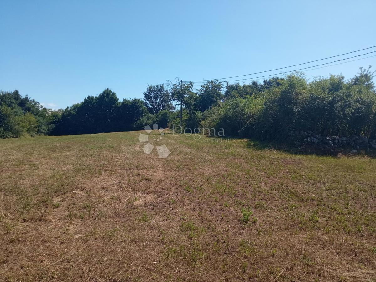 Terreno Cere, Žminj, 2.269m2