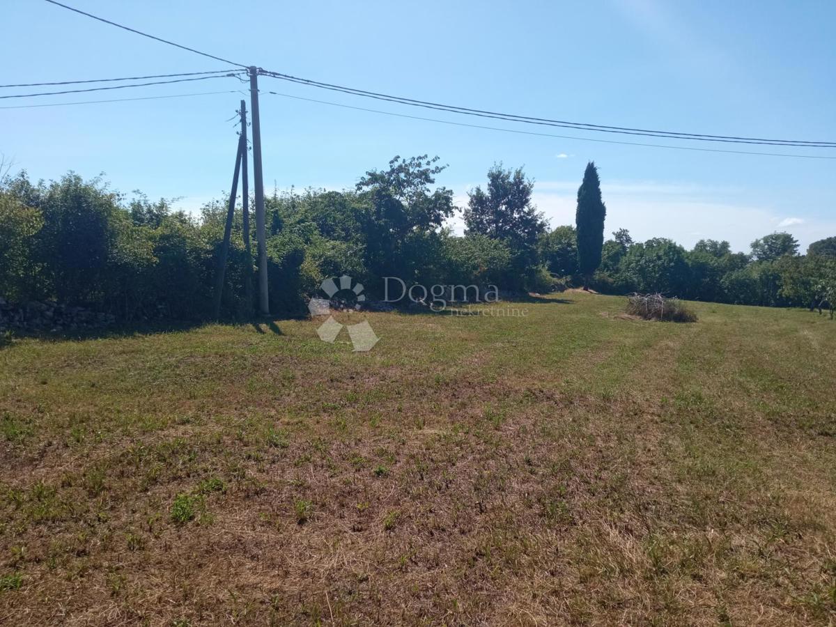 Terreno Cere, Žminj, 2.269m2