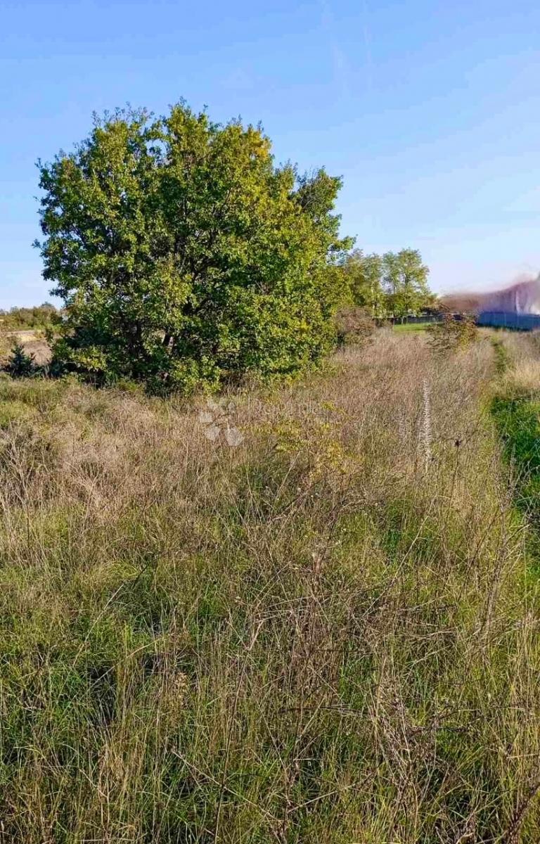 Terreno Vrsi, 2.280m2