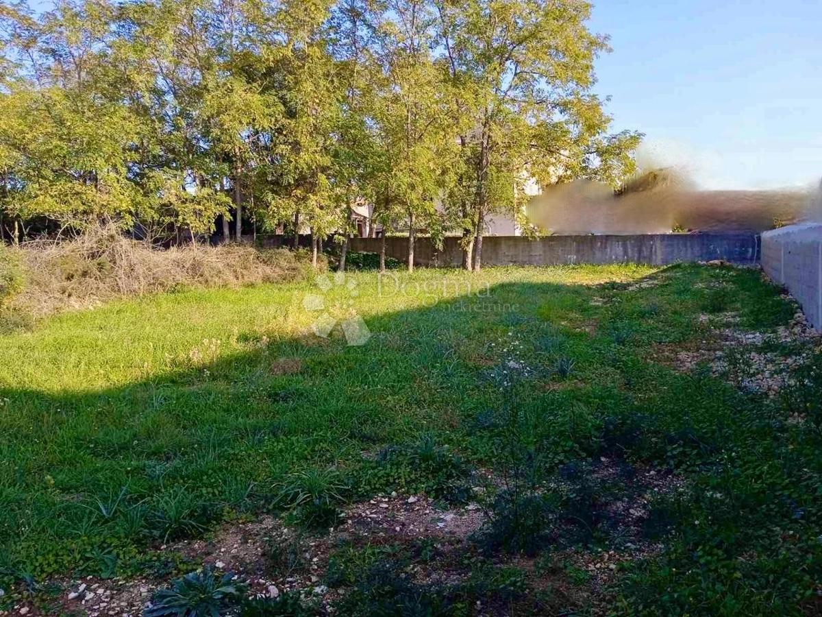 Terreno Vrsi, 2.280m2