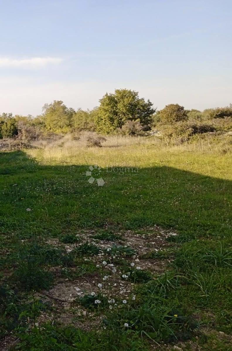 Terreno Vrsi, 2.280m2