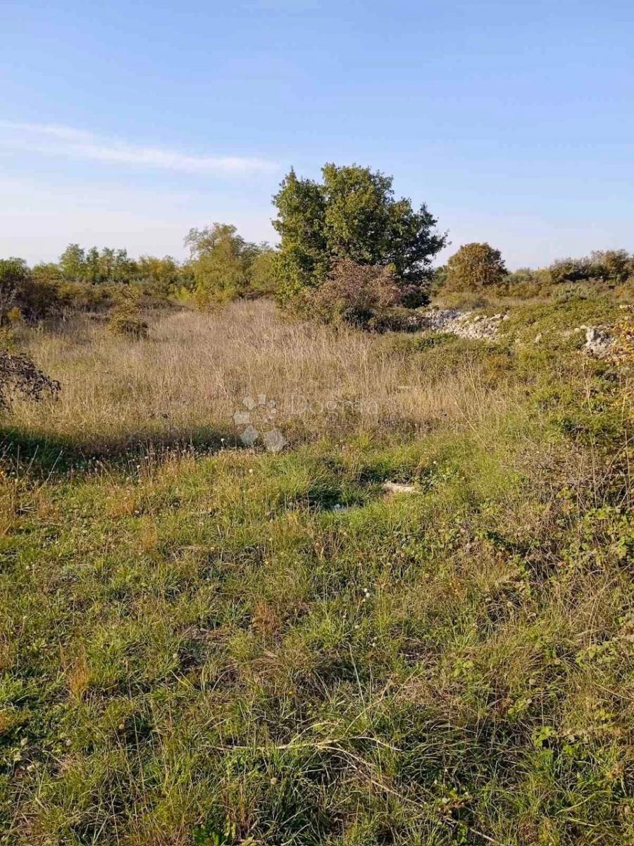 Terreno Vrsi, 2.280m2