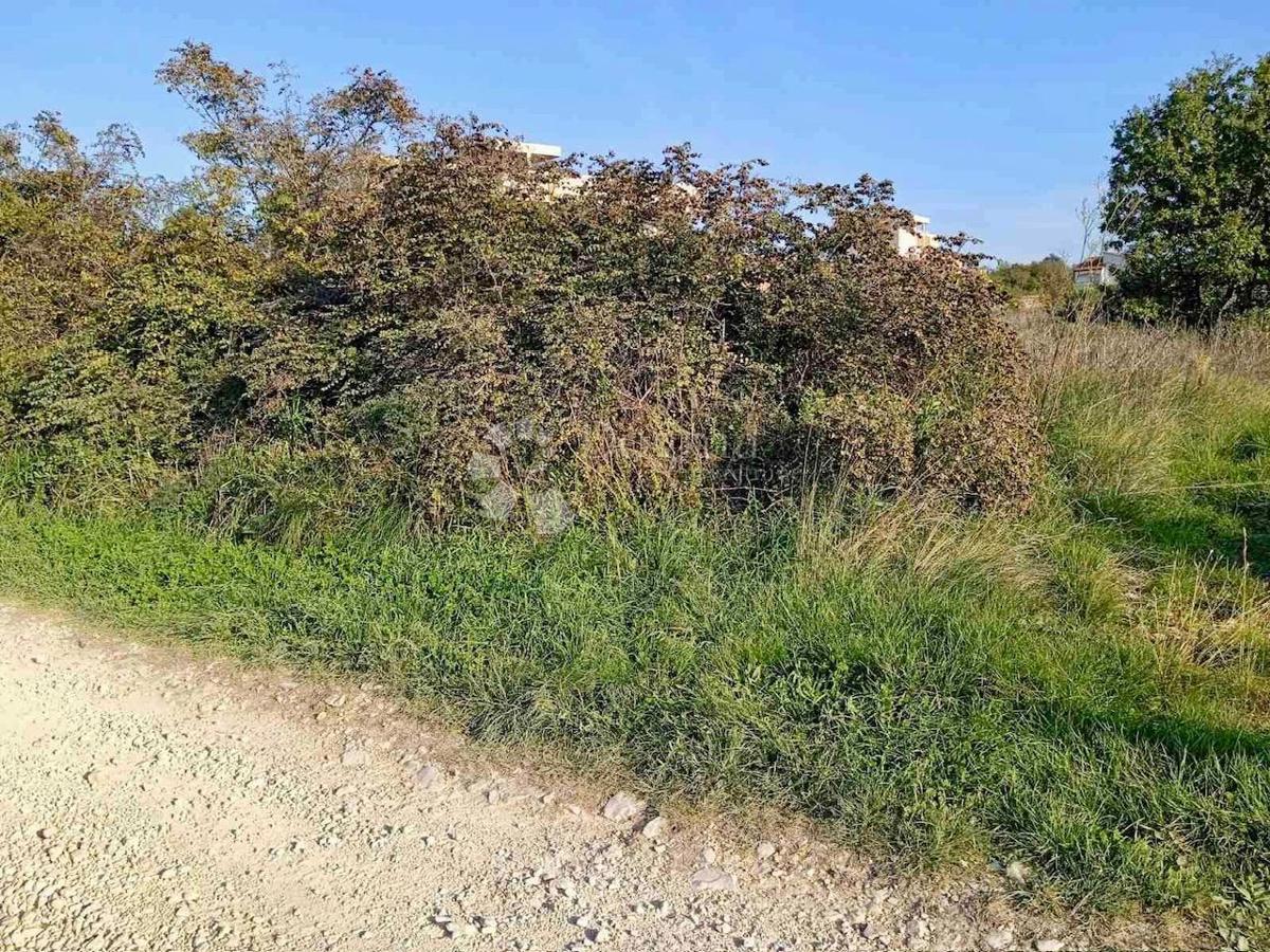 Terreno Vrsi, 2.280m2