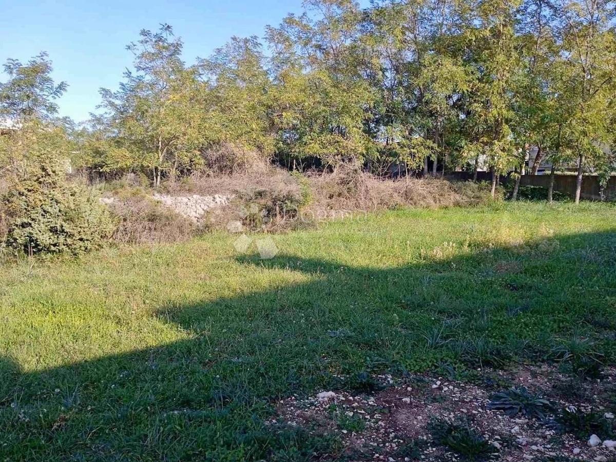 Terreno Vrsi, 2.280m2