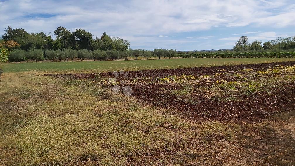 Terreno Marčana, 13.300m2