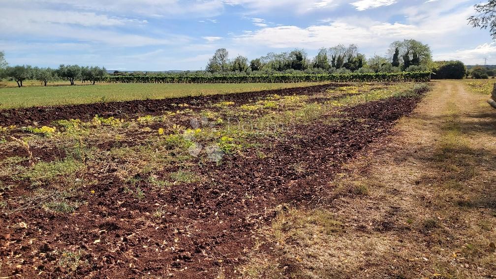 Terreno Marčana, 13.300m2