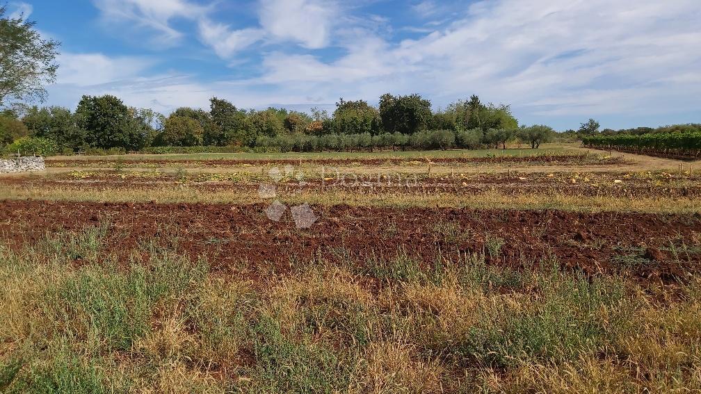 Terreno Marčana, 13.300m2