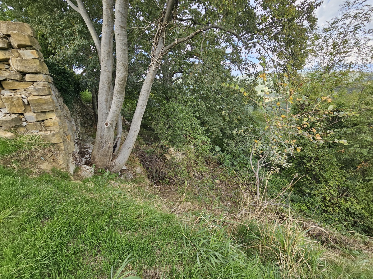 Terreno edificabile in cima alla collina con appezzamento di terreno