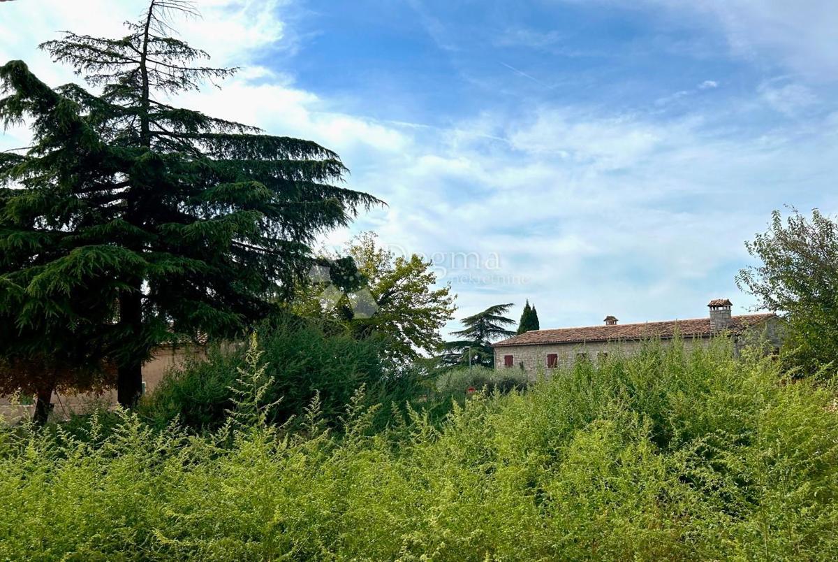 GIOIELLO PARADISO A BARAT, SINERGIA DI NATURA E DESIGN