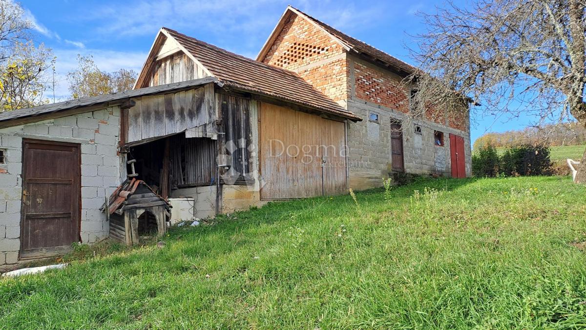 Casa Jošavica, Petrinja, 597m2