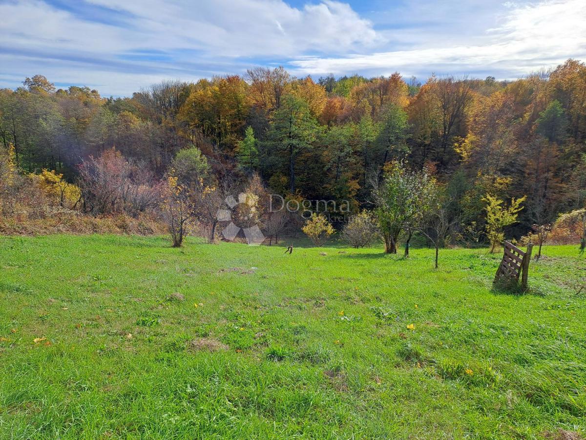 Casa Jošavica, Petrinja, 597m2