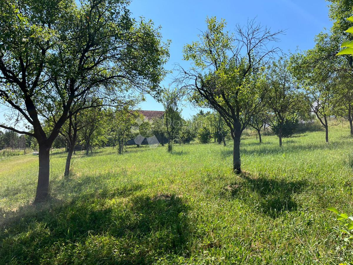 Terreno Londžica, Našice, 12.209m2
