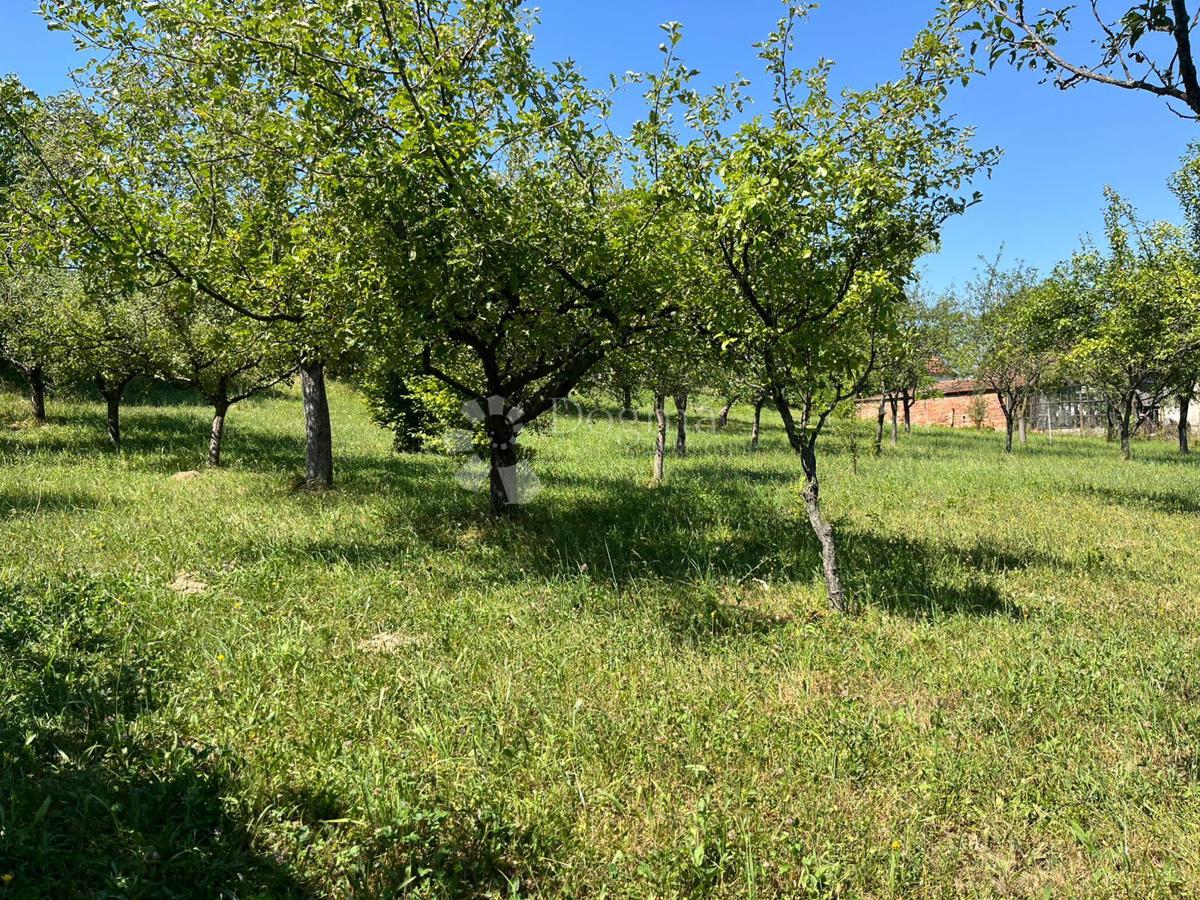 Terreno Londžica, Našice, 12.209m2